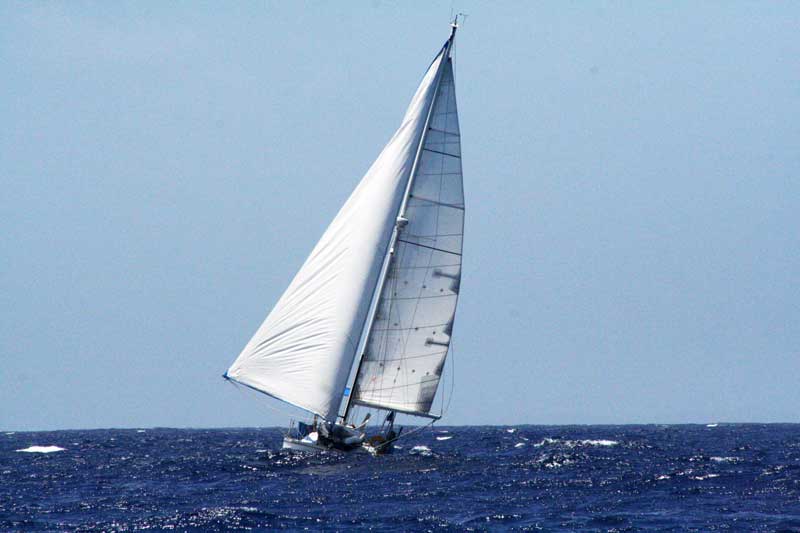 Antares=Schmetterling